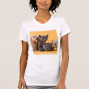 Buscar rusas camisetas Gatito
