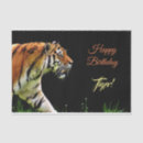 Buscar tiger papel de seda Naranja