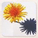 Buscar dandelion posavasos Amarillo