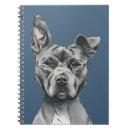 Buscar pitbull oficina escuela Animales