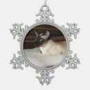 Buscar siamés adornos Ojos azules