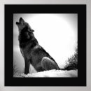 Buscar de lobos posters Perro