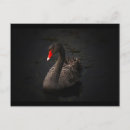 Buscar cisne postales Pájaro