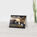 Buscar ing tarjetas Para todos