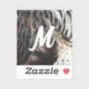 Buscar plumas abstractas pegatinas Abstracto