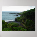 Buscar de arena posters Hawaii