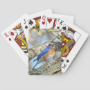 Buscar aroma barajas de cartas Para todos