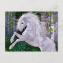 Buscar bobo postales Fantasía