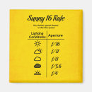 Buscar reglas imanes Frío