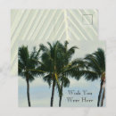 Buscar palmera tropical postales Océano