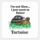 Buscar tortuga feliz postales Para ella