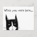 Buscar estoy aquí postales Sarcástico