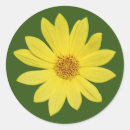 Buscar aislado pegatinas Flores