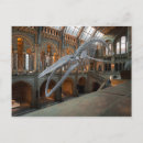 Buscar esqueletos postales General y unisex