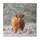 Buscar escocesas azulejos Cotland