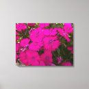 Buscar brillantes lienzos Rosa