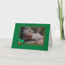 Buscar gecko tarjetas Verde