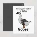 Buscar gansos postales Para ella
