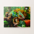 Buscar camaleones puzzles Naturaleza