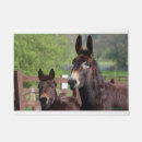 Buscar burro felpudos Mula