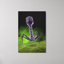 Buscar biología molecular posters Verde