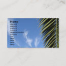 Buscar frondas tarjetas de visita Tropical