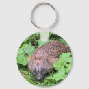Buscar erizo llaveros Animales