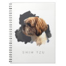 Buscar shih Mejor amigo