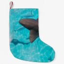 Buscar tiburones calcetines navideños Agua
