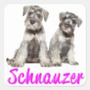 Buscar perro schnauzer pegatinas Cachorro