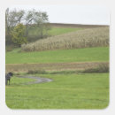 Buscar riendo pegatinas 5 º rienda