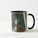 Buscar cabra vieja tazas Animal