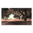 Buscar pintura americana posters Naturaleza