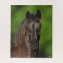 Buscar cabeza de caballo puzzles Langrish bob