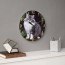 Buscar gato persa blanco arte 9 º gata