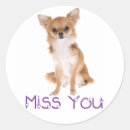 Buscar amor chihuahua pegatinas Cachorros