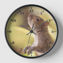 Buscar ardillas lindas relojes de pared Animal