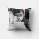 Buscar penguin cojines Retro
