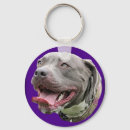 Buscar hoyo llaveros Pitbull