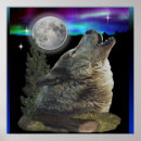 Buscar montana posters Lobos