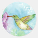 Buscar colibri pegatinas General y unisex