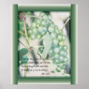 Buscar vides arte Uvas