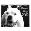Buscar toro calendarios Pitbull
