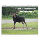 Buscar animales de la naturaleza calendarios Fotografía
