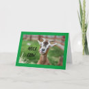 Buscar caballería tarjetas Familia