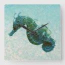 Buscar caballo mar de relojes de pared Océano