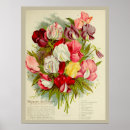 Buscar catálogo posters Floral