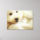 Buscar miniatura lienzos Dentro