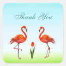 Buscar flamencos rosados pegatinas Gracias