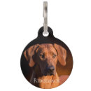 Buscar rhodesian mascotas Perro